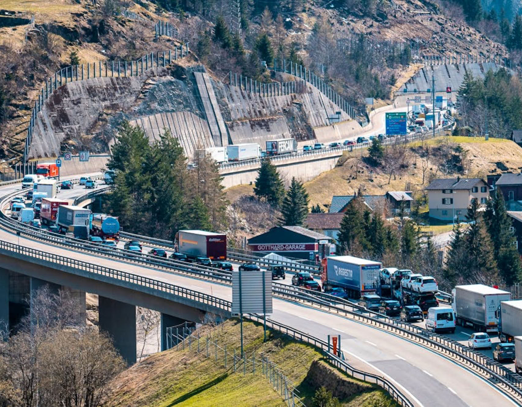 Kostenloses Stock Foto zu bäume, baumstamm, birken